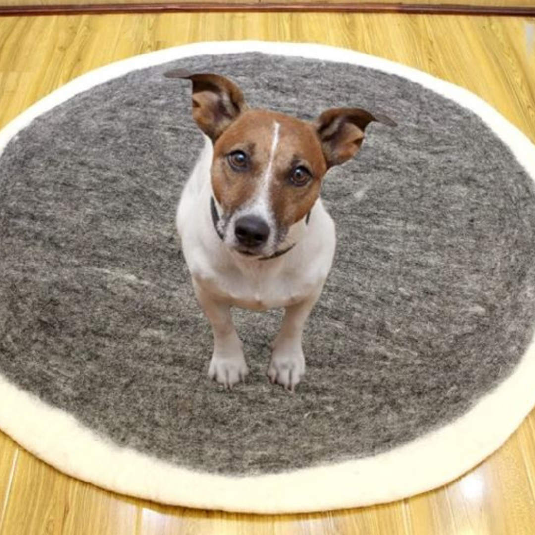 Tapis de couchage gris en feutre pour chien avec bord blanc, lit pour animaux en laine