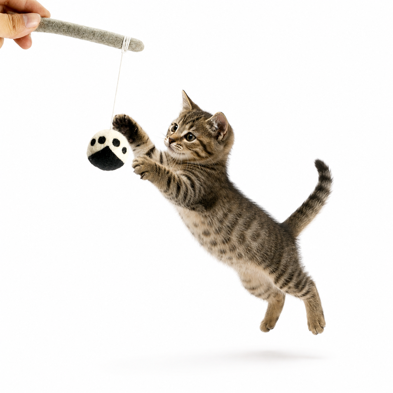Pure Wool Cat Toys (2-Pack)