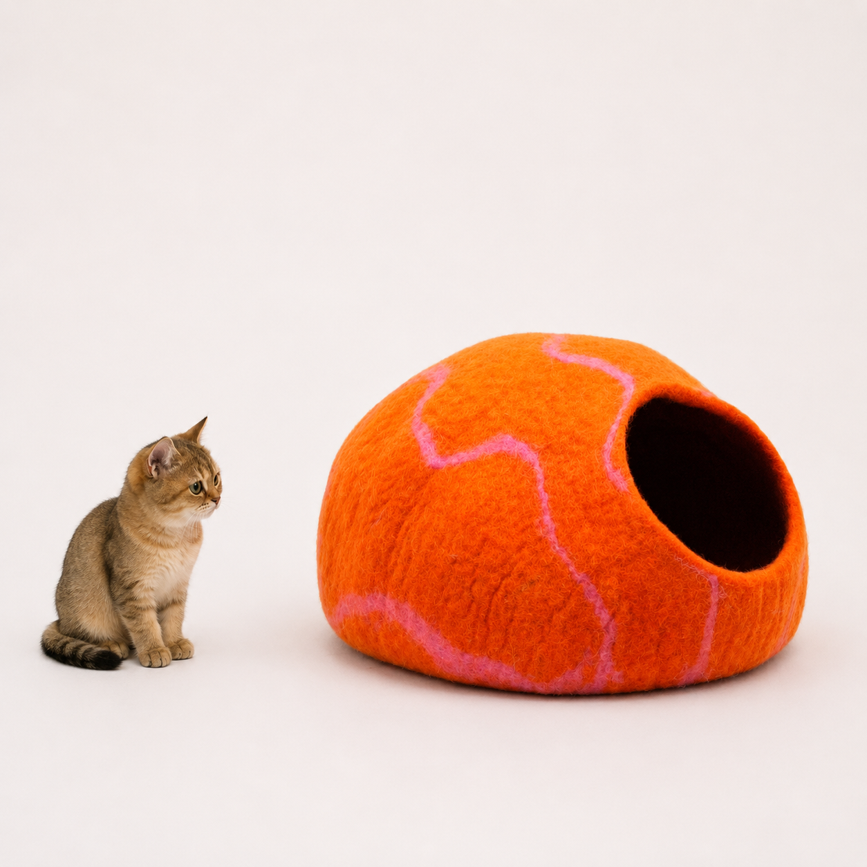 サンストーン・キャット・ケイブ