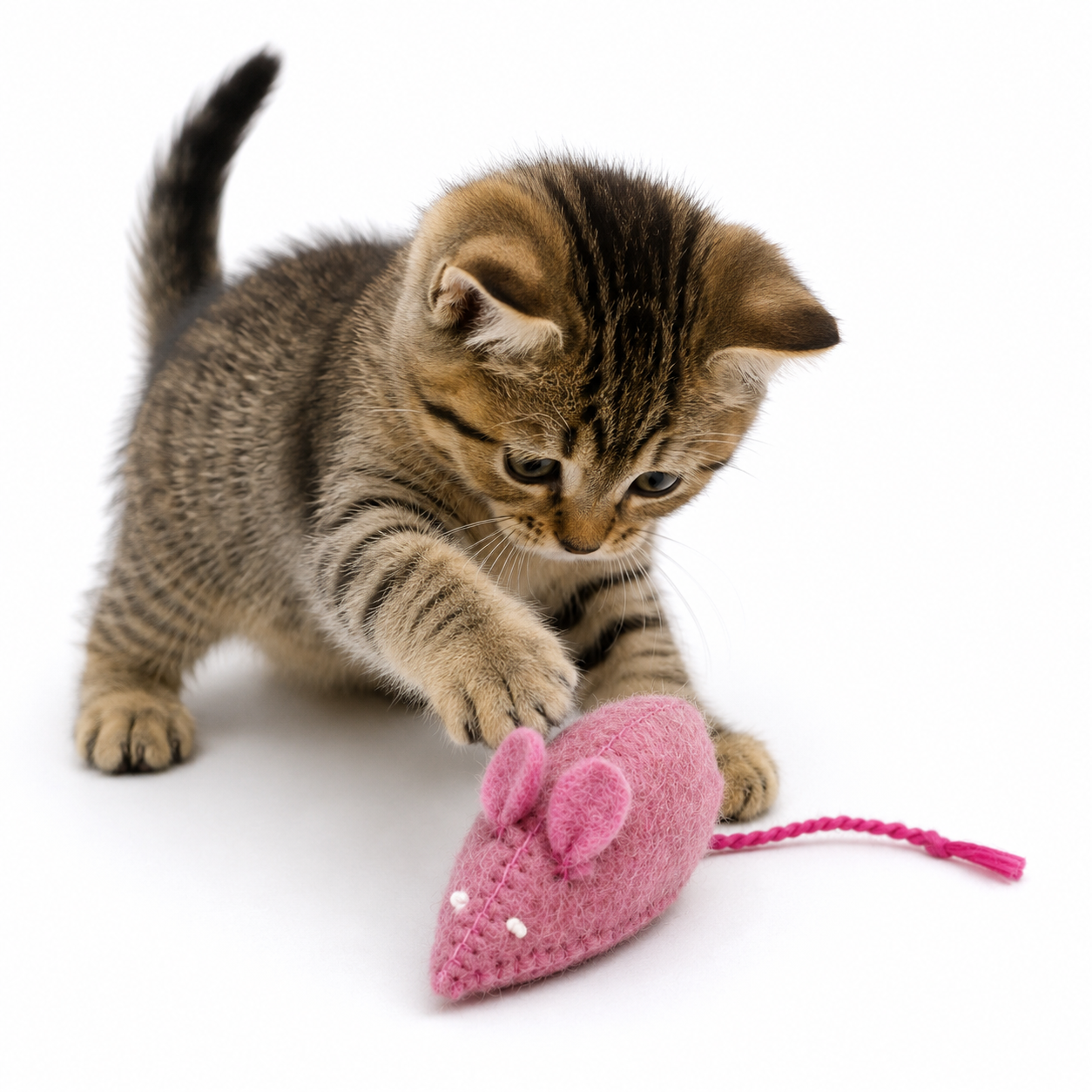 Handmade Wool Felt Mouse Toys (3-Pack)