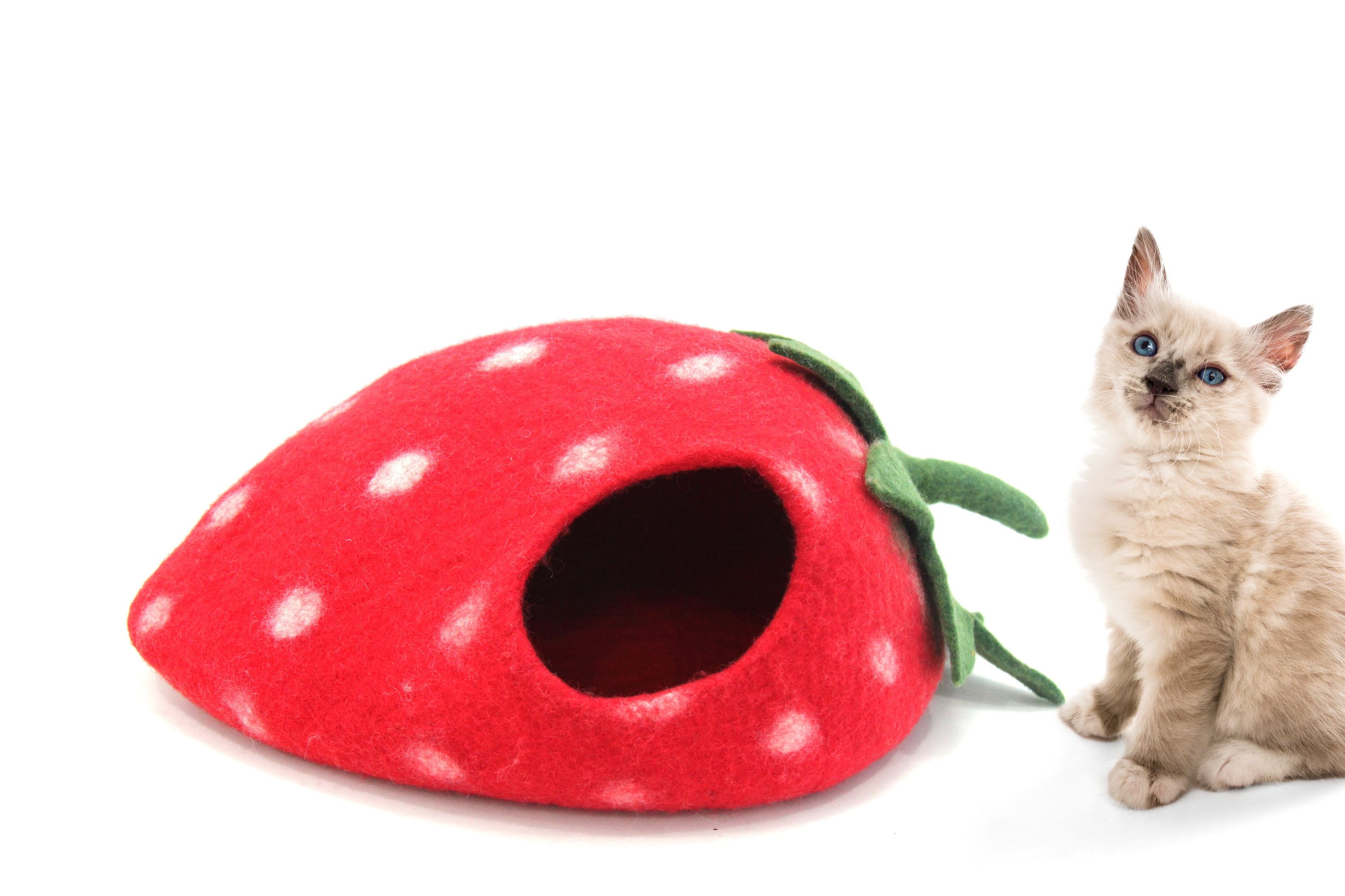 Felt Cat Cave -Strawberry Cat Cave - Handmade Felt Pet House - Wool Kitty Bed - Cocoon - Pet Vessel - Eco-friendly Bed