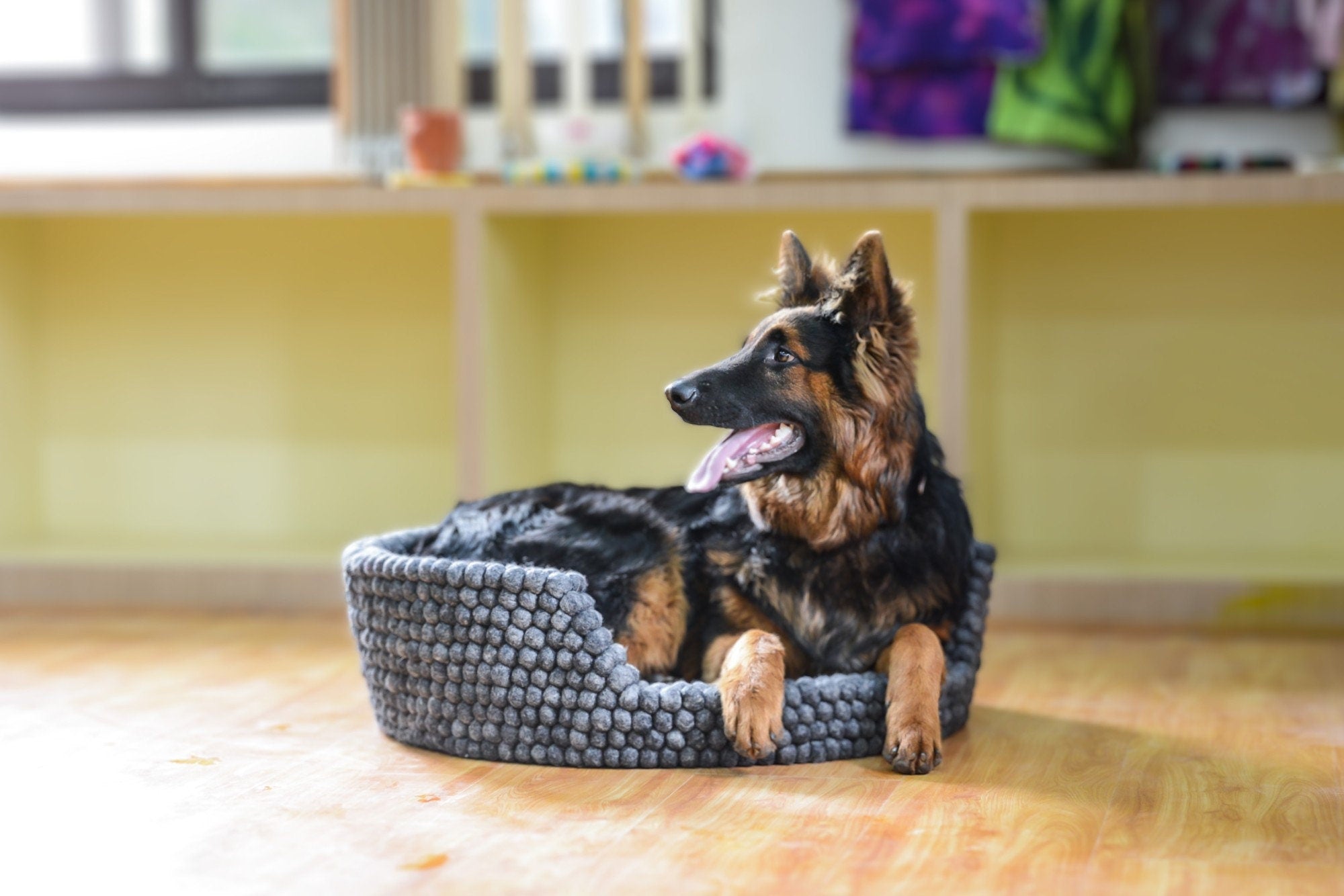Dark Gray Felt Dog Basket - Dog Bed For Large Puppy And Cats - Premium Wool Pet Bed - Pet Friendly Couch