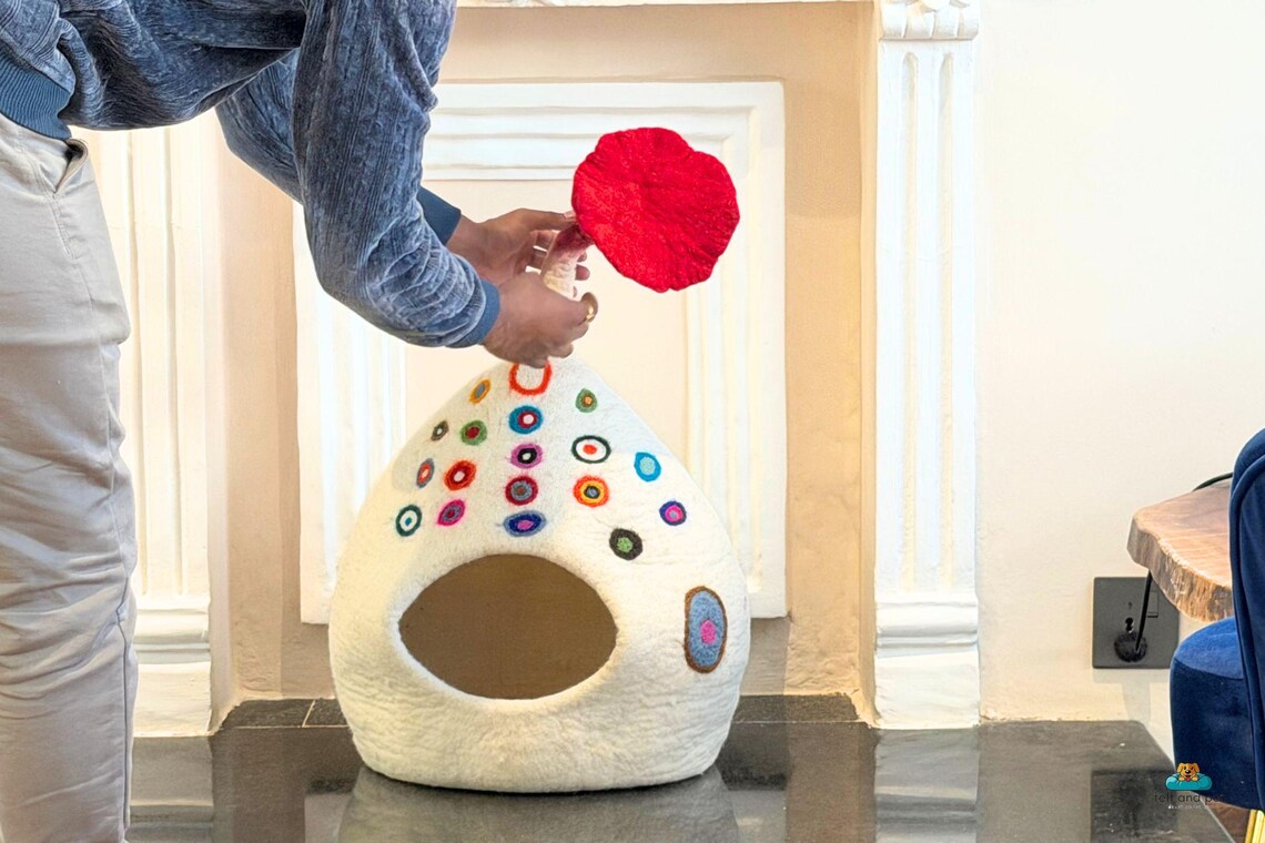 Cat Caves