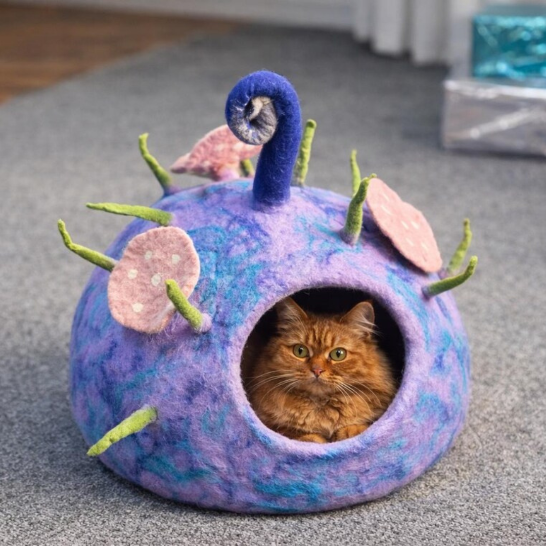 Lit et maison pour chat en feutre de laine faits à la main, pourpre et bleu