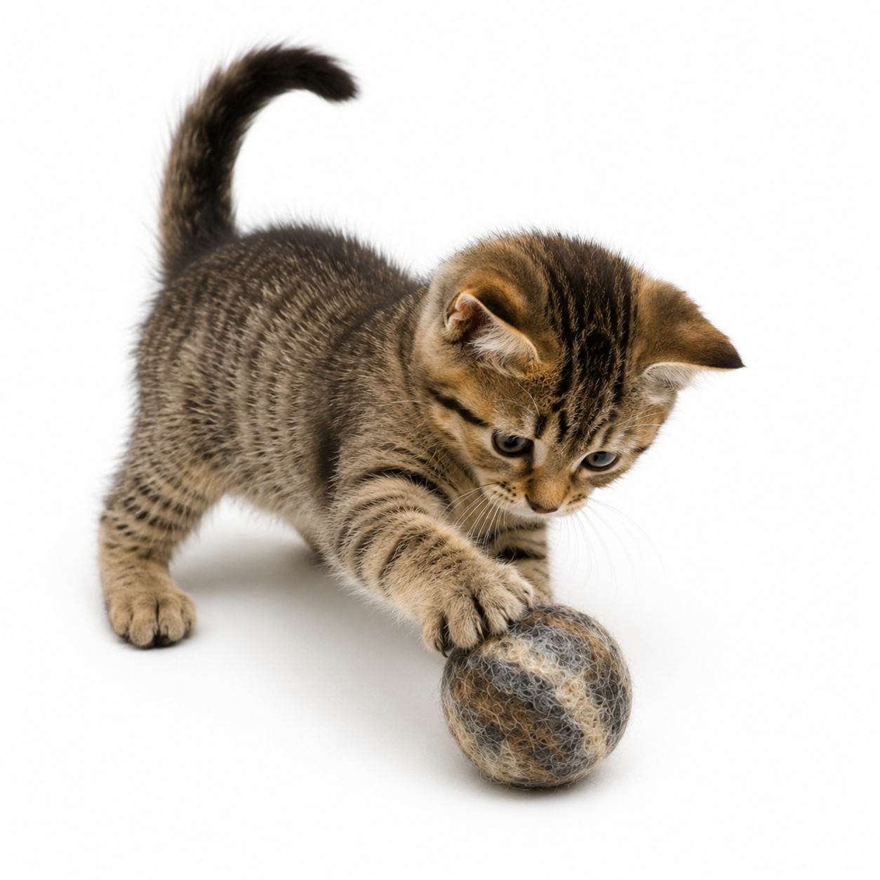 Pure Wool Pom Pom Cat Toy Set