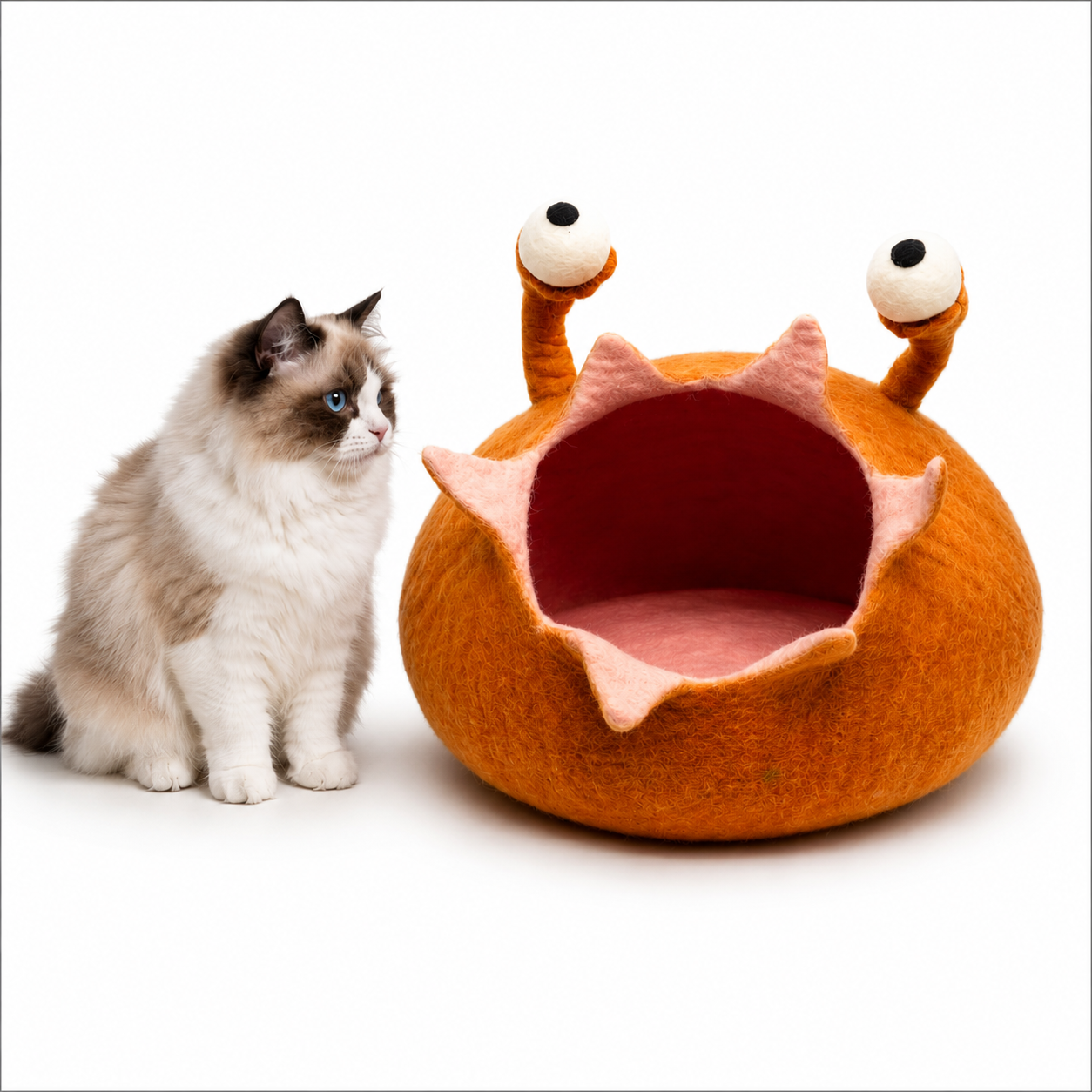 Snail Cat Bed - Wool Felt Cat Cave - Modern Design Pet Bed - Gift For Your Pet - Handmade from Pure Wool