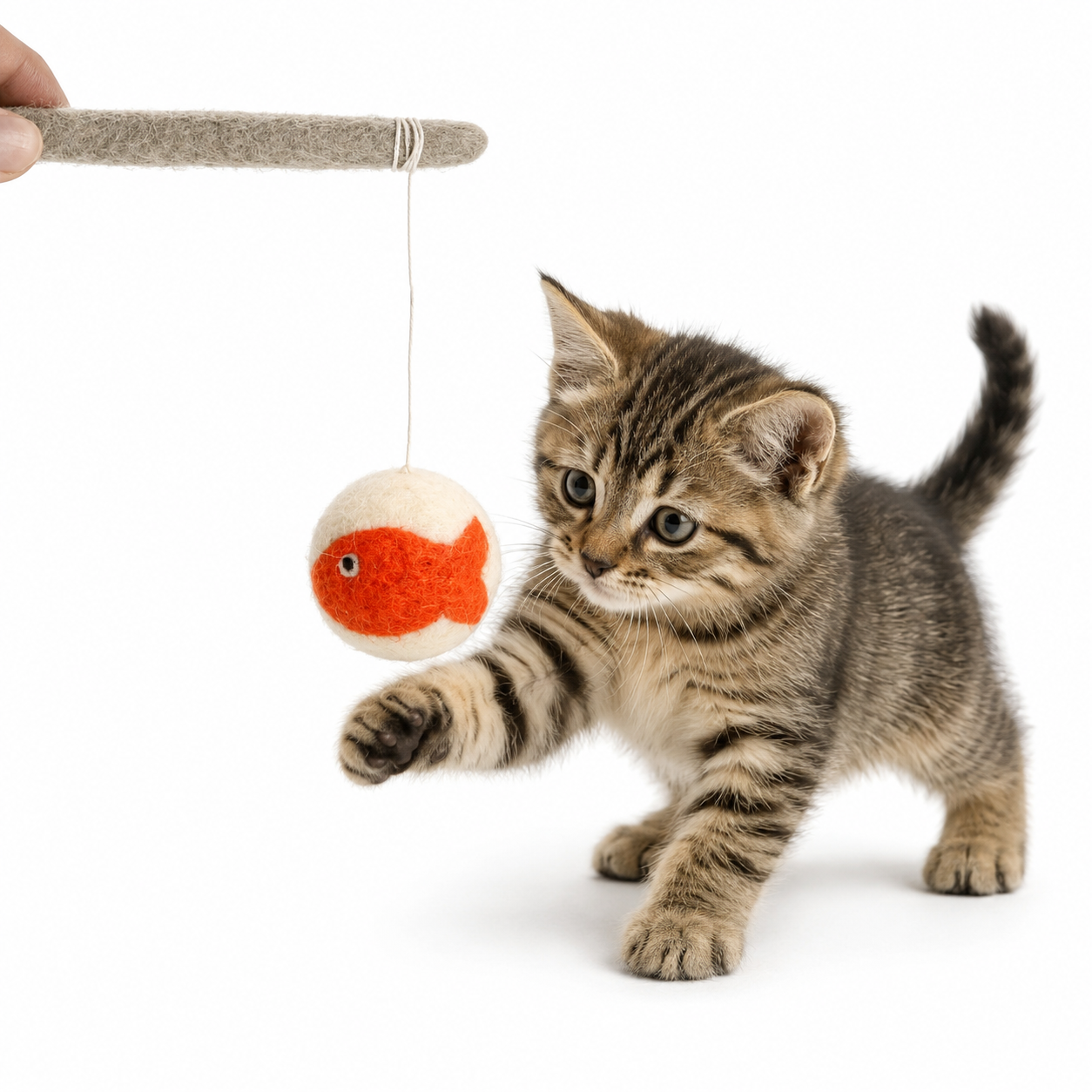 Handmade Fish Cat Wand Toy Set (2-Pack)