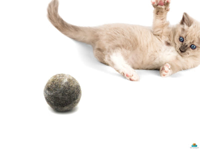 Natural Wool Felt Cat Toy-Non toxic Toy For Cats, Kids- Montessori Pom Pom Toys for Kids & Pets - Eco-Friendly Wool Pet Toys - 100% Handmade