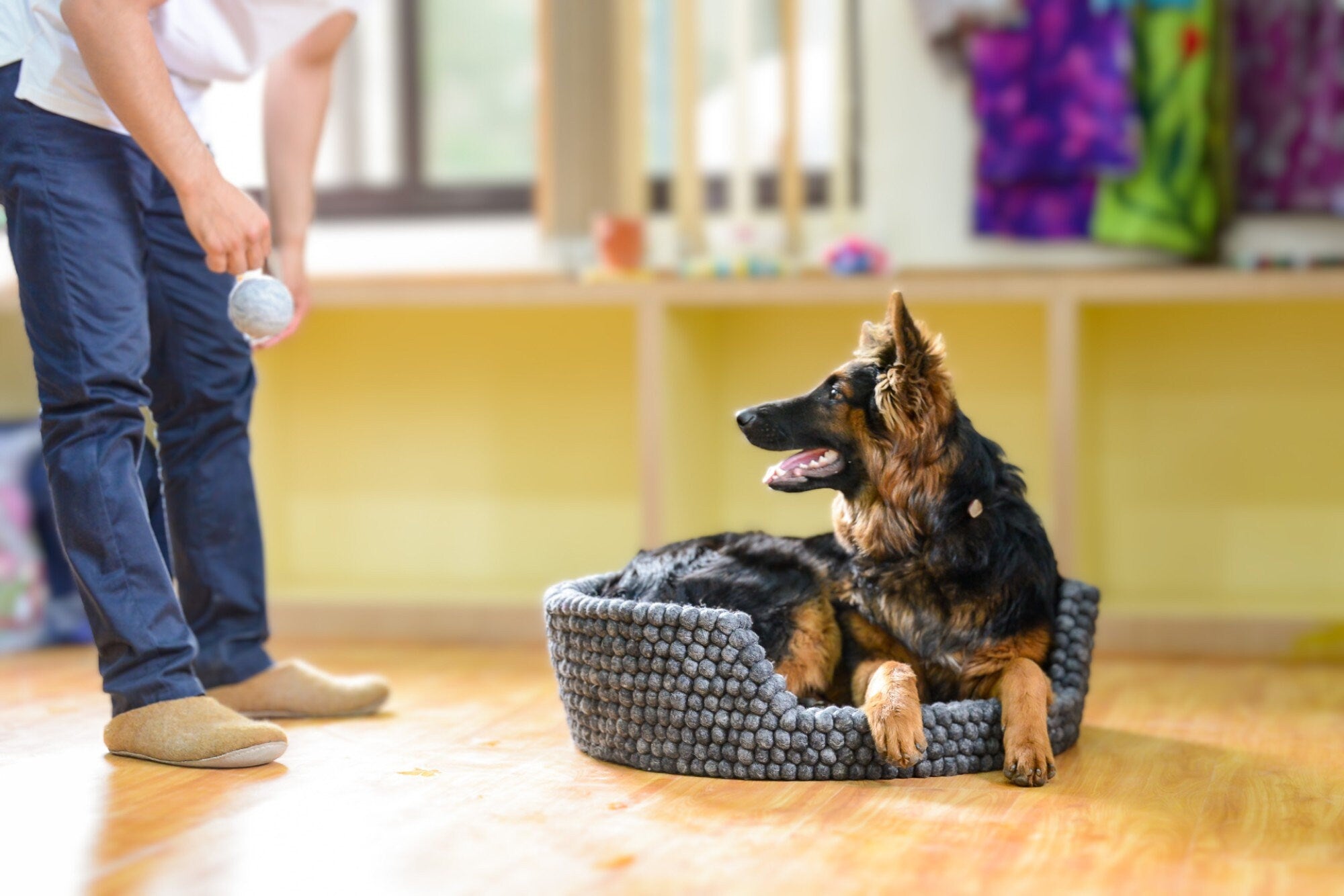 Dark Gray Felt Dog Basket - Dog Bed For Large Puppy And Cats - Premium Wool Pet Bed - Pet Friendly Couch