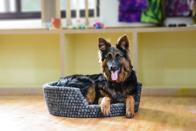 Dark Gray Felt Dog Basket - Dog Bed For Large Puppy And Cats - Premium Wool Pet Bed - Pet Friendly Couch
