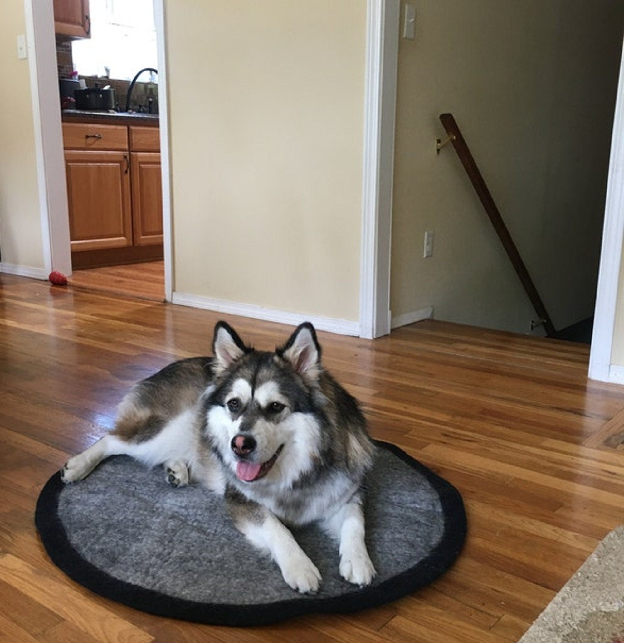 Wool Felt Pet Mat | Eco-Friendly Round Dog and Cat Rug