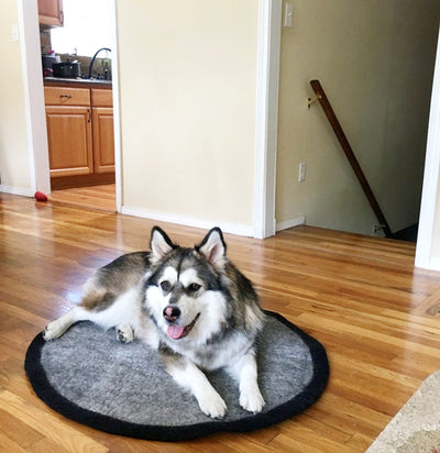 Wool Felt Pet Mat | Eco-Friendly Round Dog and Cat Rug