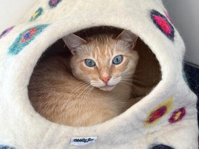 Felt Cat Cave - White Tear Drop with Dot - Pet Furniture - Cat Nap Cocoon-  Eco Friendly Pet Bed