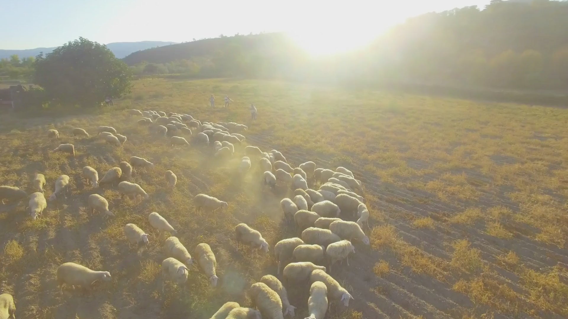 Load video: 